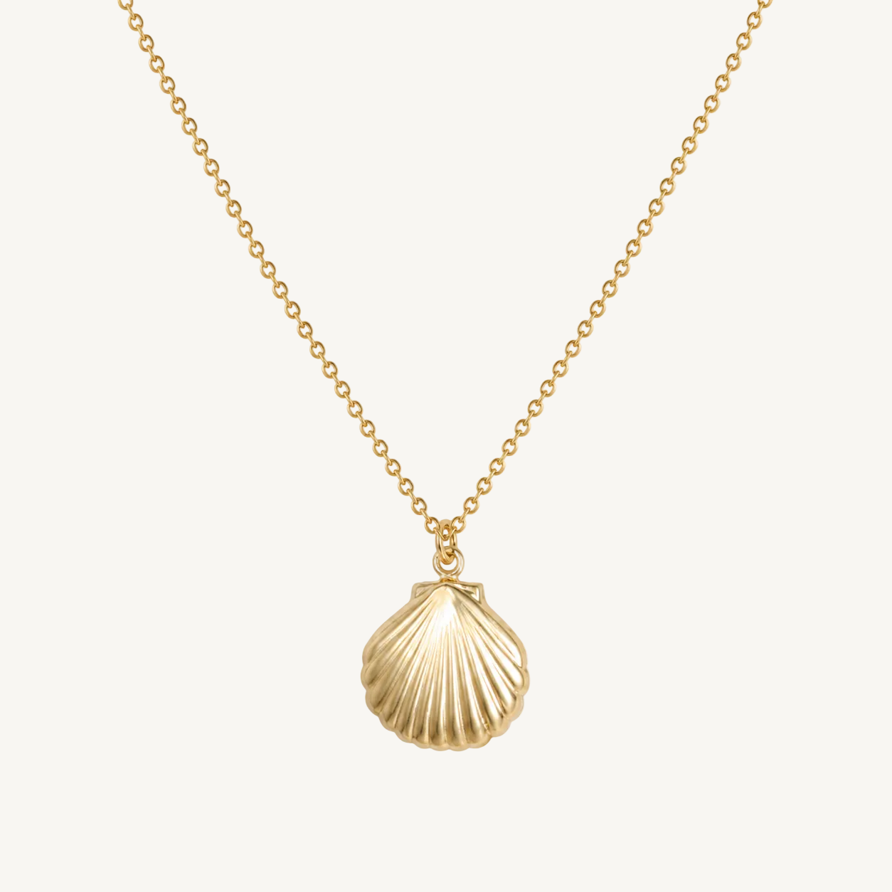 Gold necklace with a shell pendant on a white background