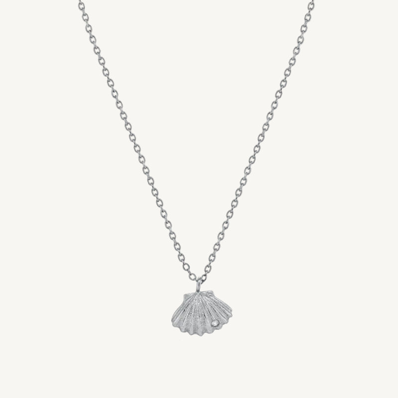 Silver necklace with a shell pendant on a white background