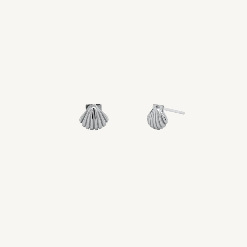 shell studs on white background